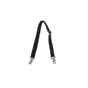 Ecossistema para capa de apresentação Kentucky image-0