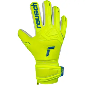 Torwarthandschuhe Reusch Attrakt Freegel Silver image-0