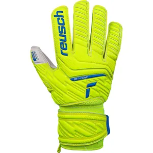 Kid's goalie gloves Reusch Attrakt Silver image-0