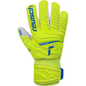 Kid's goalie gloves Reusch Attrakt Silver Roll Finger image-0