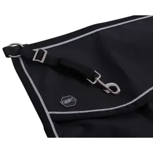 Stall door QHP image-2