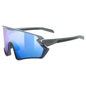 Sunglasses Uvex 231 2.0 image-2