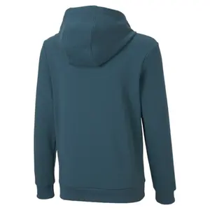 Sweatshirt Kind Puma Mapf1 Ess image-1