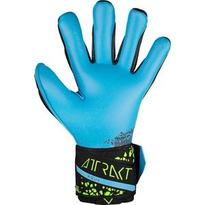 Goalkeeper gloves Reusch Attrakt Aqua image-3
