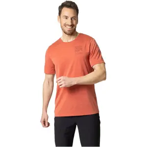 T-shirt Odlo Ascent 365 Linear image-0