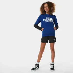 Sweatshirt til børn The North Face Drew image-4