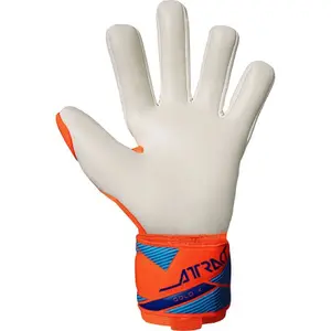 Goalkeeper gloves Reusch Attrakt Gold X NC Coupe du Monde 2026 image-1