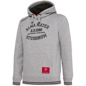 58016717-children-s-hoodie-universite-de-bologne-heather-gray