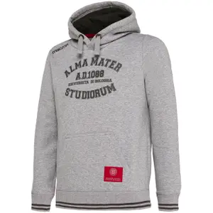 58016717-sweatshirt-a-capuche-enfant-universite-de-bologne-gris-chine