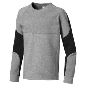 Sweatshirt child Puma Evostripe image-0