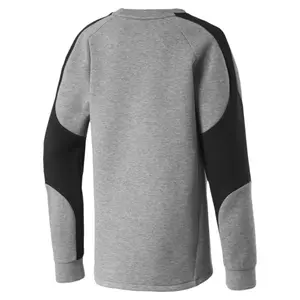 Sweatshirt child Puma Evostripe image-1