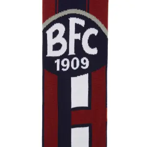 Lined scarf Bologne 2020/21 image-1