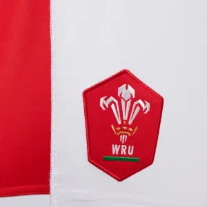 Heimunterhosen Pays de Galles rugby 2020/21 image-3