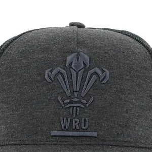 Cap Pays de Galles Rugby 2020/21 image-1