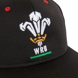 Cappuccio piatto Pays de Galles rugby 2020/21 image-2