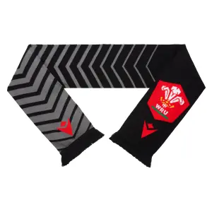 Lined scarf Pays de Galles rugby union 2020/21 image-0