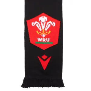Lined scarf Pays de Galles rugby union 2020/21 image-1