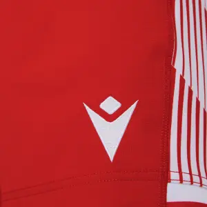 Breve casa sette Pays de Galles rugby 2020/21 image-2