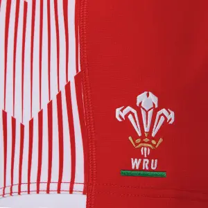 Breve casa sette Pays de Galles rugby 2020/21 image-3