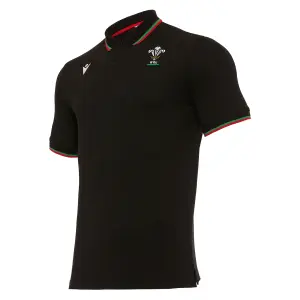 Polo Pays de Galles rugby union 2020/21 image-0