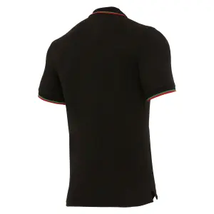 Polo Pays de Galles rugby union 2020/21 image-1