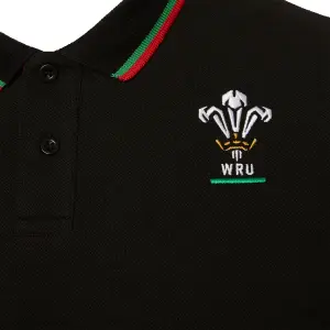 Polo Pays de Galles rugby union 2020/21 image-2