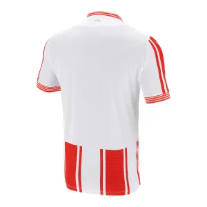 Thuisshirt Étoile rouge de Belgrade 2020/21 image-1