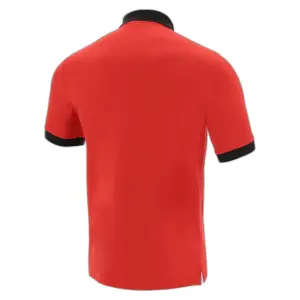 Cotton pique Polo shirt Pays de galles rugby 2020/21 image-1