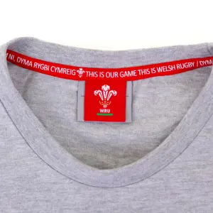 T-shirt βαμβακερό Ουαλία Rugby XV image-2