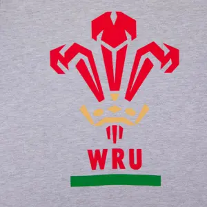 T-shirt βαμβακερό Ουαλία Rugby XV image-3