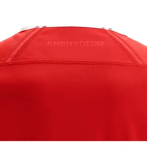 Maglia da casa Pays de Galles poly 2021/23 image-4