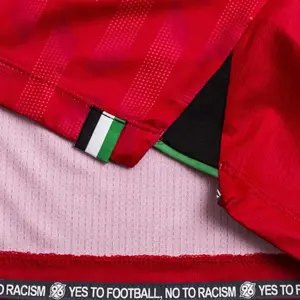 Autentisk hjemmebanetrøje Hanovre 96 2023/24 image-5