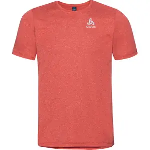 Camiseta Odlo Alloy Rt image-0