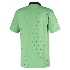 Polo Puma golf Skerries image-2