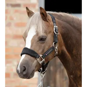 Licol rembourré en polaire pour cheval Premier Equine image-0