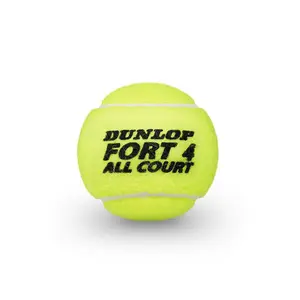 Satz von 2 Röhren mit 4 Tennisbällen Dunlop fort all court image-3