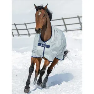Outdoor  Blanket Bucas Turnout Extra 300g image-2