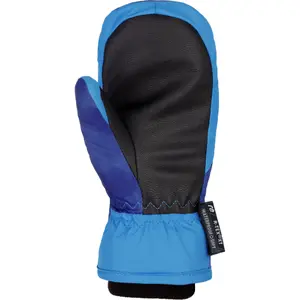 Gloves Reusch Franci R-tex® Xt Mitten image-1