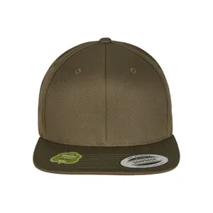 Cap Flexfit organic cotton image-0