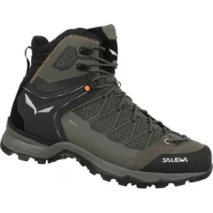 Wandelschoenen Salewa Trainer Liteid Gtx image-1