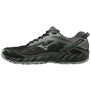 Women's trail shoes Mizuno Wave ibuki 2 GTX image-0