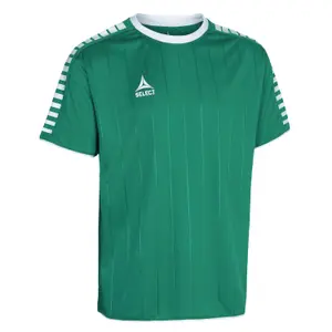 Kindertrikot Select Argentina image-0