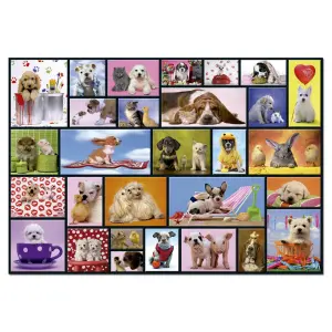 1000 piece puzzle Educa Momentos Compart image-0