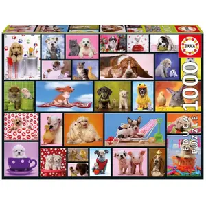 1000 piece puzzle Educa Momentos Compart image-1