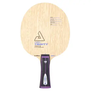 65013-raquette-de-tennis-de-table-joola-vyzaryz-trinity-st-beige-tu