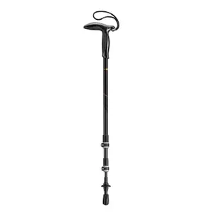 Sticks Leki Legend Series image-0