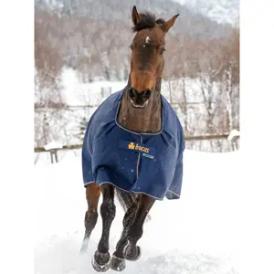 Waterproof  Blanket Bucas Irish Turnout 300g image-2