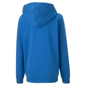 Sudadera con capucha para niños Puma Team Goal 23 Casuals image-1