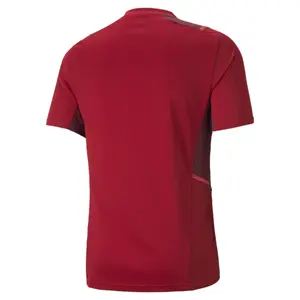 Camiseta Puma Team Cup Training image-1