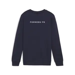 Felpa per bambini Puma teamGOAL Casuals image-2